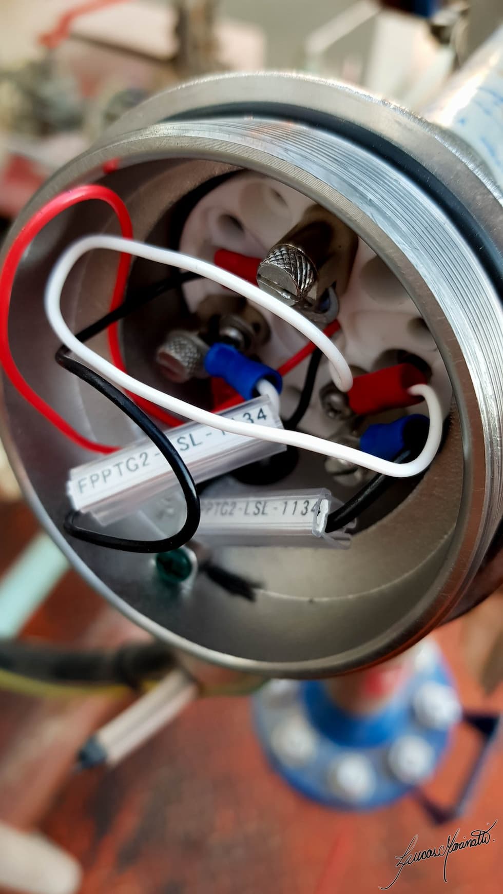 67529256 10217979622993500 1775948056110301184 n (1)